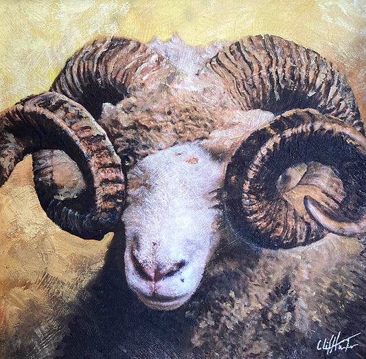 Long Horn Ram, Dorset