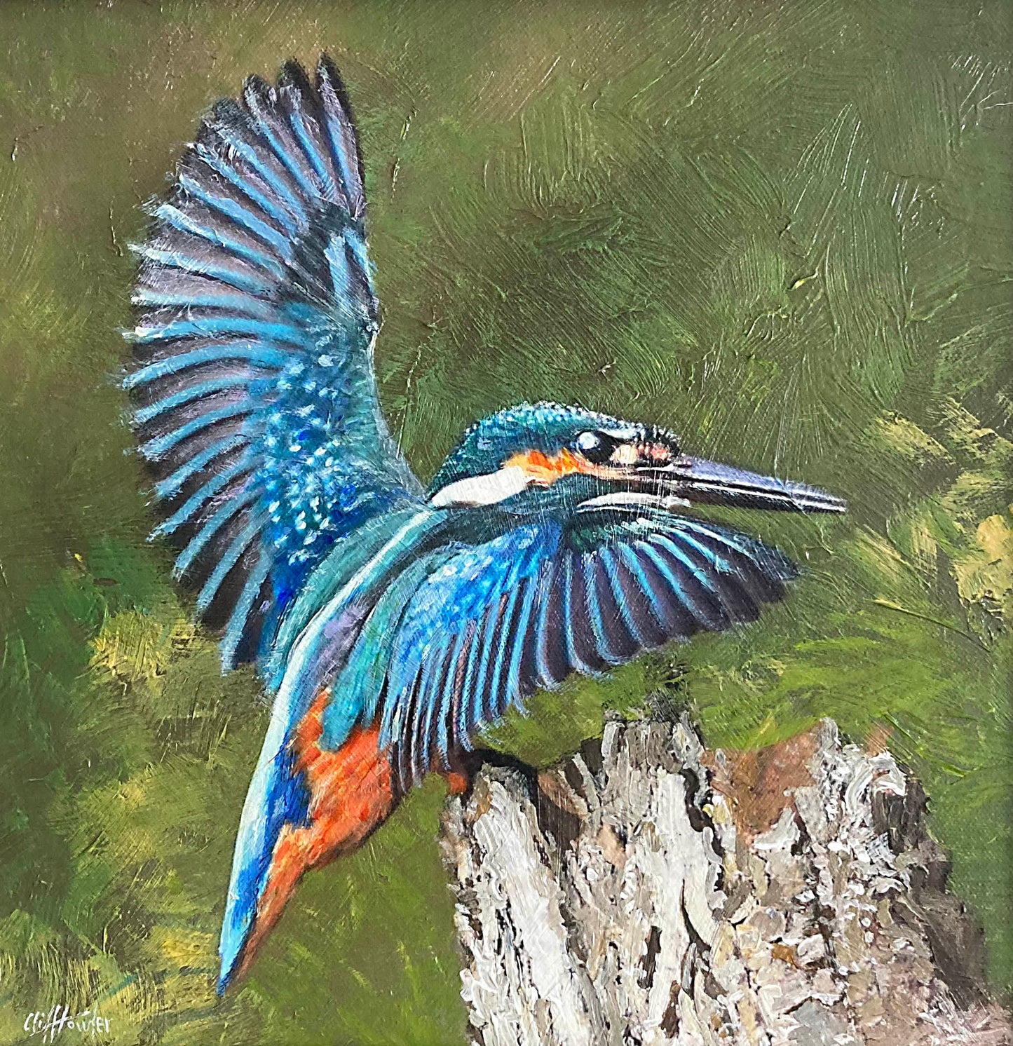 Kingfisher